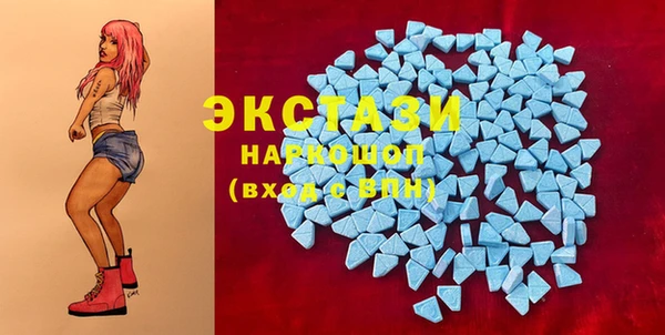 стаф Белокуриха