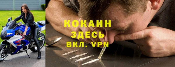 мдпв Верея